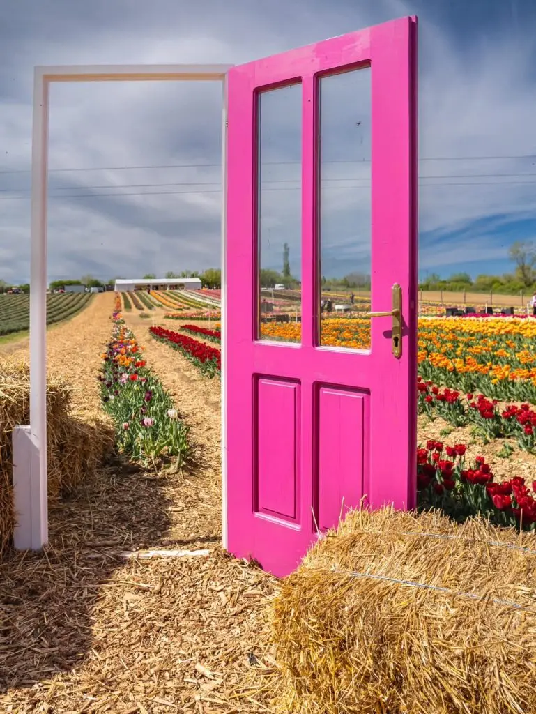 434863394 946236147502077 4087933546177563299 n 1.jpg