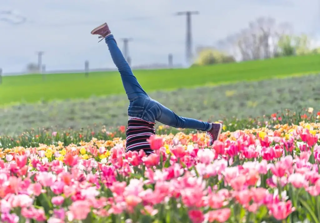 434966427 946236267502065 1726213121962747694 n 1.jpg